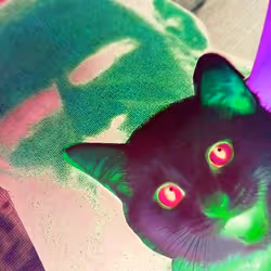 4747115153065902387790593868107453782499677024781155622119190005994590568449