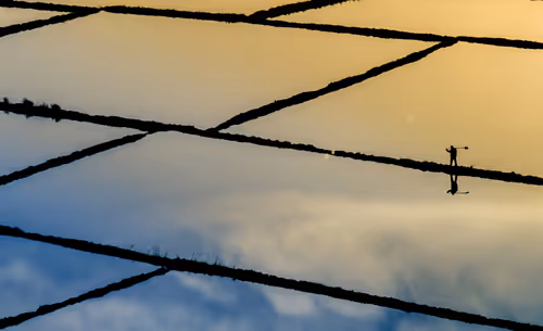 Item #21360135595636761708002264298030741123237362591555506440031731749380039901185 Media