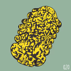 [ No.020 ] Cutie Isopod - Sabah