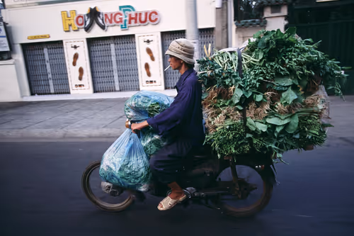 Item #24110165408155573398908987562152031273205884089304227586706331045682149851137 Media