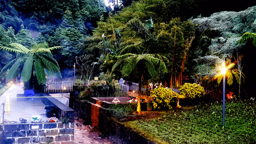 Untitled Collection #496134715 - old