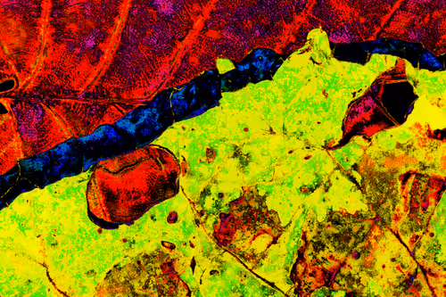 Item #11128123256113201505825332092376579448973501376012613523417643022785903067137 Media