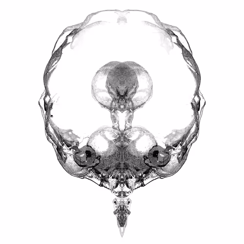 Alien Embryos