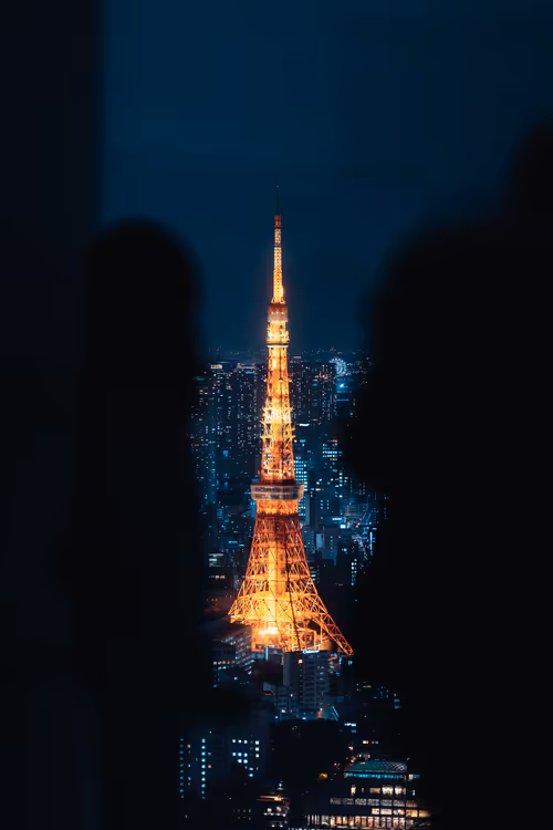 Item #84492978198119788081858584857369630260874381154171846651703266106091988058113 Media