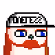 11110263752558956670672789262526827432212091672226483184496758689283002335233