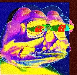Meta Pepe