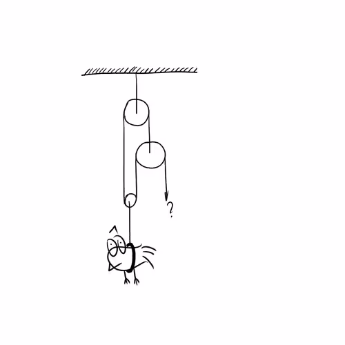 23392220428079498595821616783356579763328574506530279883149265549029300764673