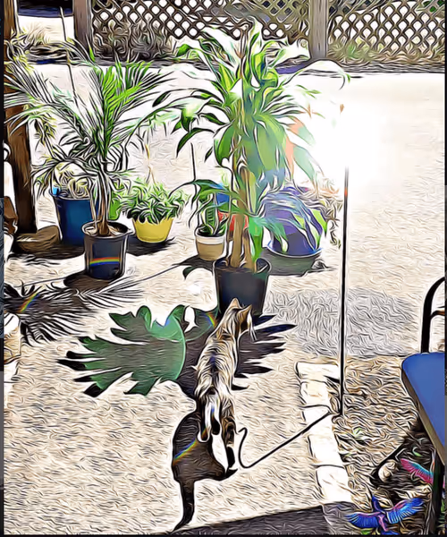 Item #101057092378302225736757120765437198261046760691228806068408149981476943822849 Media