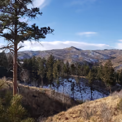 The great outdoors