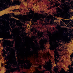 Let it flow (Alternate version)
