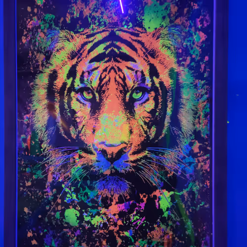 Untitled Collection #92223958