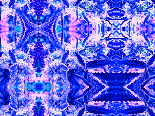 Item #83970981387443879143921485150900069530799783516997234463864977546881936654337 Media