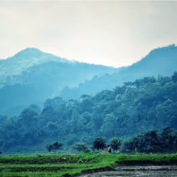Hills of life