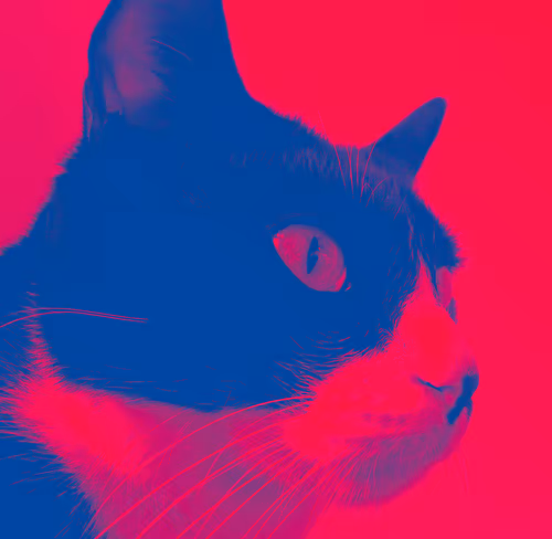 Item #62224154844929677022393842232947945299621837358898658373332336518385987747841 Media