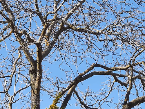 Item #13665938074563914331498291329920780757136253607588816979915017149669250695169 Media