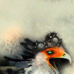 Chicken
