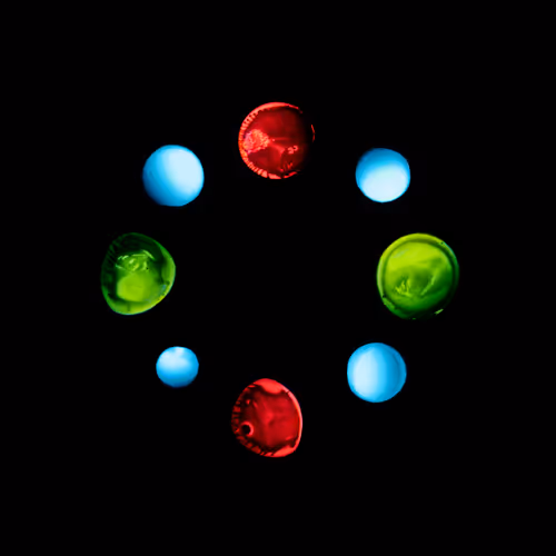 Haematopoiesis #181
