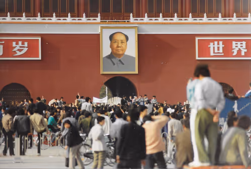 Item #29461927670043005861463006077700585730807783425921494929544881391171725688833 Media