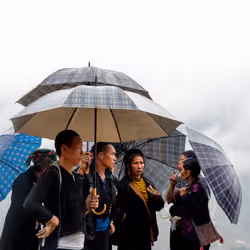 Hmong People