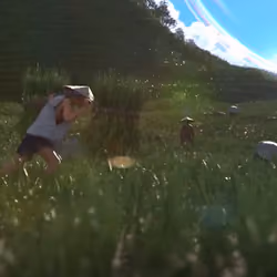 Rural - AlternateRealities