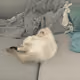 8665727759412748155226687366651350766252383331957132606779190332195531128833