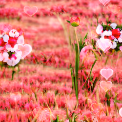 104171039534604761276812086933800980121294635434075213457357628182740154187777