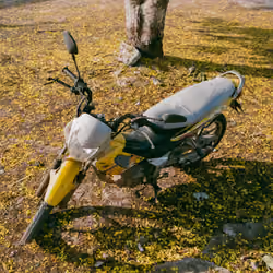 Forgotten motorcycle  #1