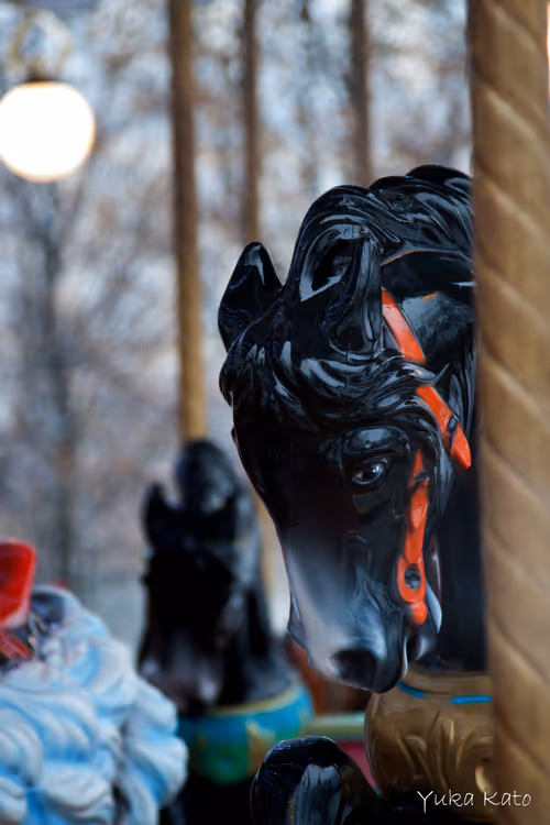 Item #111326101478107214990251795731047965840392207690526379209547236970792040267777 Media