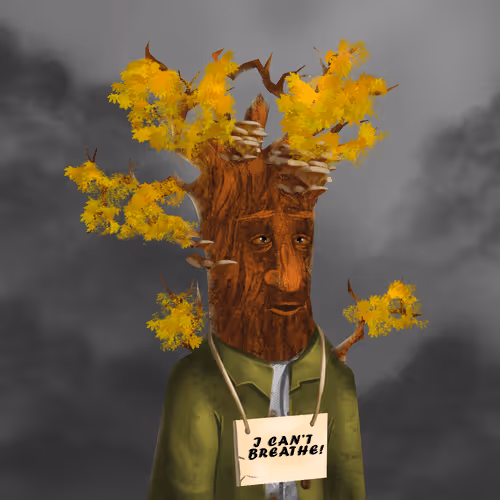 Item #38969088093190670381878411557565580659447067316565611691845276419560860286977 Media