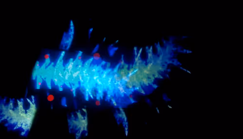 Item #67457553150443021914092587022250176347061355639032054621716075738664817131521 Media