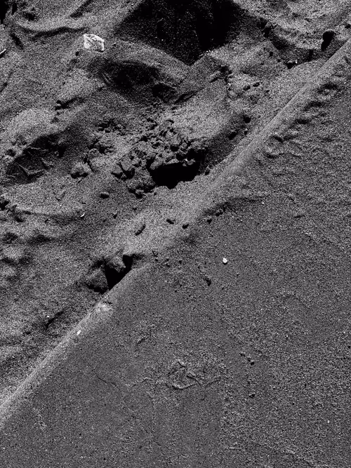 Item #65201007181043070802715508716320896791609980635279470143192853042008575442994 Media