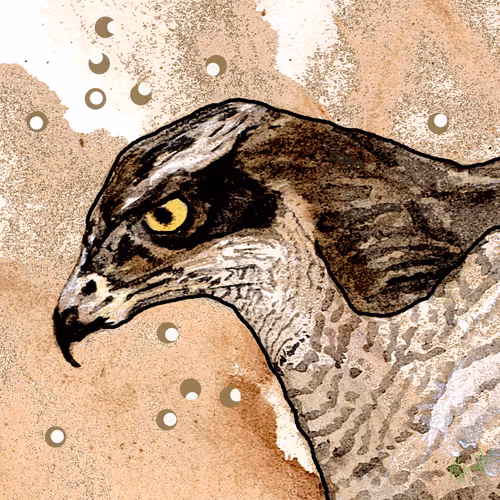 Item #52602733698061998919098162998524005222518208816265270304473996164404099416065 Media