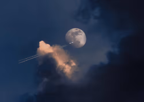 Item #97716626271628656101577116268185940007282338443253569412665055814315533139969 Media