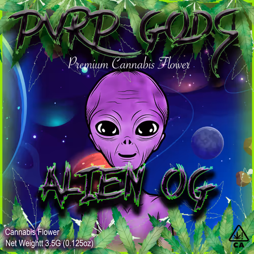 Item #14945606231224078199946966802440326171295025425828752710008100862349566541825 Media