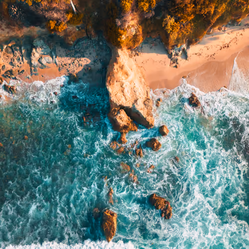 Something About Cali #47