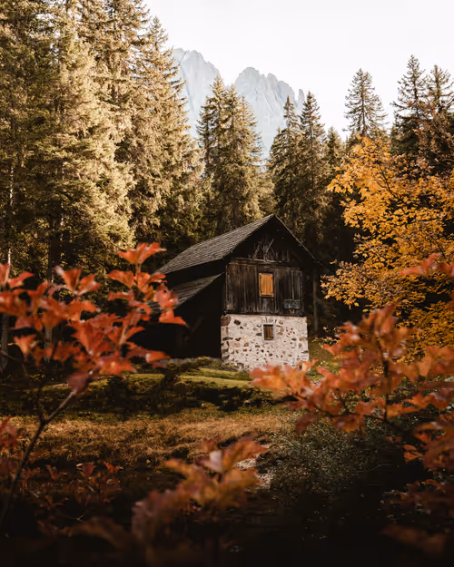 Item #31136089836063179787233094372274139047618687225342038031814341718660641456129 Media