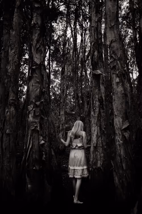 Item #107338736840495903892700830333162816701828415005499690242546380920903413268481 Media