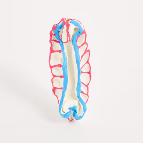 Item #17209881472968025419178314735937104425680525868267504693943335991481116655617 Media