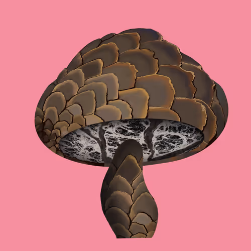 Item #46034849265832991985054005845495595569977159826723230396281256671774748180481 Media