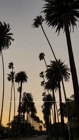 Item #25497950084472149158223983765812872381099777475617920321755067769054923063306 Media