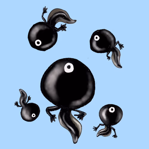 Item #63394889464776947640994999177042947820752530038038357440375934255965157720065 Media