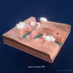 Bank of America - Earth Anew