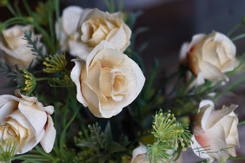 Item #100748379412919059267110879785057129888508222288536348751201759402963874349057 Media