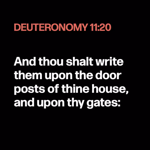 Item #22053356606985035317572807567829034573317121579682343289603639114184160968705 Media