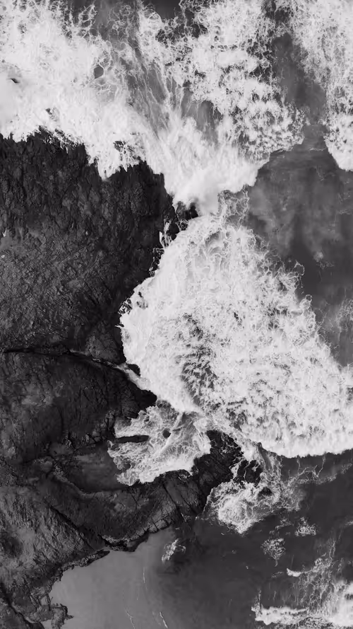 Item #61478686328515390295967162290099244266736070726302706574298323494981599232001 Media