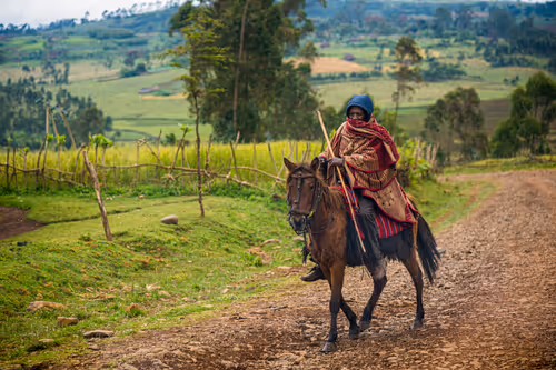 Item #50027882237522295676960542276708360859068113986169674979910834117511445741569 Media