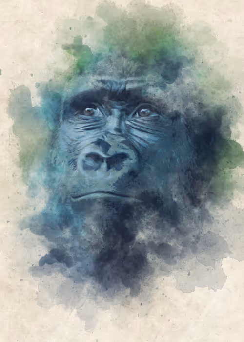 Item #15014501094177266764276721167416670682863278571620639160817117493864735703041 Media