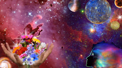 Item #51415665685337627044056347336817870964020077005970604767692191590198974349313 Media