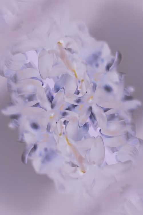 Item #98647933825971538167014356708832577938829494808882293034315128154002468896769 Media