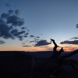 Grand Canyon Sunset 1